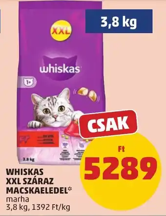 PENNY Whiskas XXL száraz macskaeledel ajánlat