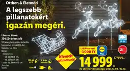 Lidl Livarno Home 3D LED-dekoráció ajánlat