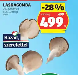 ALDI Laskagomba ajánlat