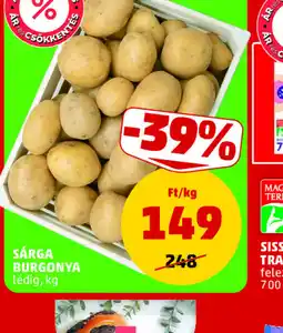 PENNY SÁRGA BURGONYA ajánlat