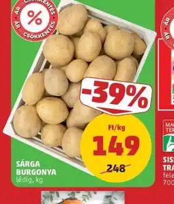 PENNY SÁRGA BURGONYA ajánlat