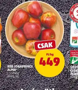 PENNY RED JONAPRINCE ALMA ajánlat