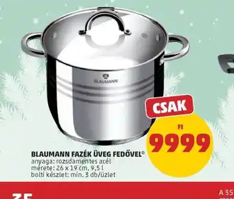 PENNY BLAUMANN FAZÉK ÜVEG FEDŐVEL ajánlat