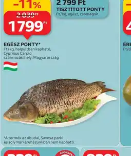 Auchan EGÉSZ PONTY ajánlat