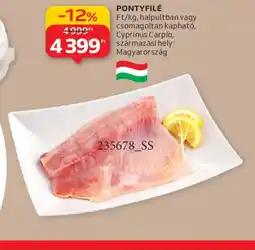 Auchan PONTYFILÉ ajánlat