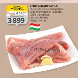 Auchan AFRIKAI HARCSAFILÉ ajánlat