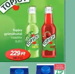 Real Topjoy gyümölcsital ajánlat