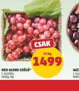 PENNY RED GLOBE SZŐLŐ ajánlat
