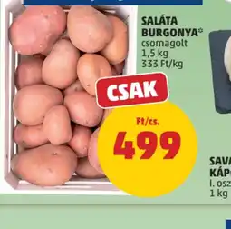 PENNY SALÁTA BURGONYA ajánlat