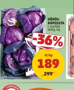 PENNY VÖRÖS-KÁPOSZTA ajánlat