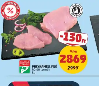 PULYKAMELL FILÉ