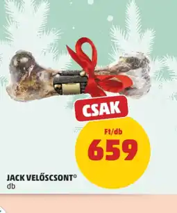 PENNY JACK VELŐSCSONT ajánlat