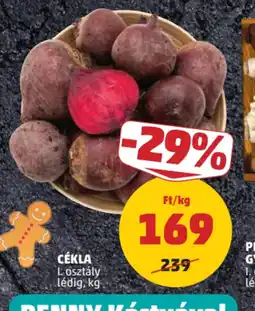 PENNY CÉKLA ajánlat