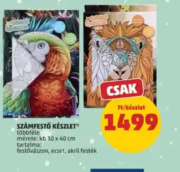PENNY SZÁMFESTŐ KÉSZLET ajánlat