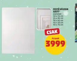PENNY FESTŐ VÁSZON SZETT ajánlat