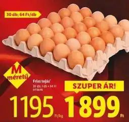 Lidl Friss tojás ajánlat