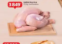 Auchan EGÉSZ PÚLYKA ajánlat