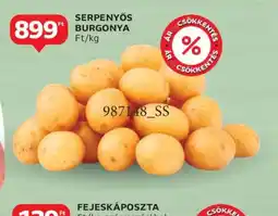Auchan SERPENYŐS BURGONYA ajánlat