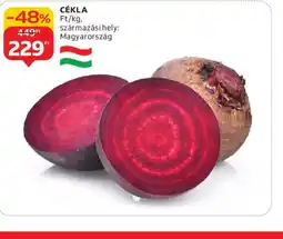 Auchan CÉKLA ajánlat