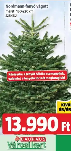 Bauhaus Nordmann-fenyő vágott ajánlat