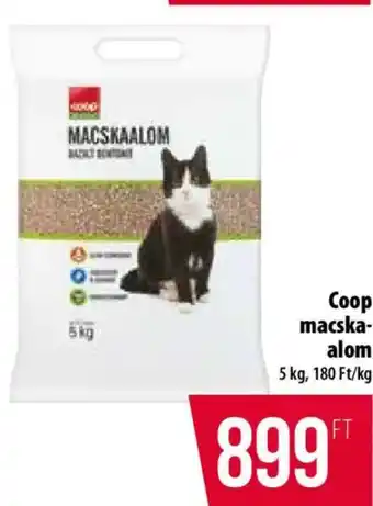 Coop MACSKAALOM