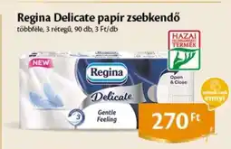 EcoFamily Regina Delicate papír zsebkendő ajánlat