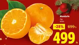 Lidl Mandarin ajánlat