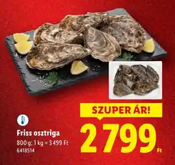 Lidl Friss osztriga ajánlat