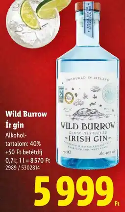 Lidl Wild Burrow Ír gin ajánlat