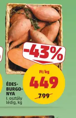 PENNY ÉDESBURGONYA ajánlat