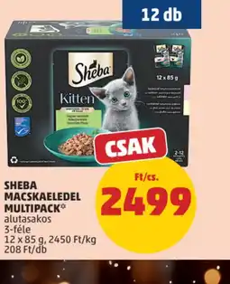 PENNY SHEBA MACSKAELEDEL MULTIPACK ajánlat