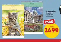 PENNY FALINAPTÁR ajánlat