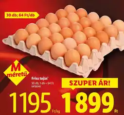 Lidl Friss tojás ajánlat