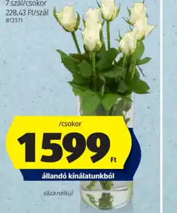 ALDI RÓZSACSOKOR ajánlat
