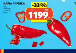 ALDI KÁPIA PAPRIKA ajánlat
