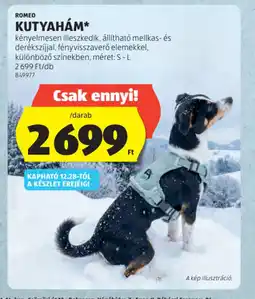 ALDI ROMEO KUTYAHÁM ajánlat