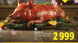 Lidl Egész malac ajánlat