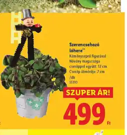 Lidl Szerencsehoz lhere ajánlat