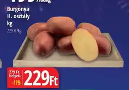 Real Burgonya ajánlat