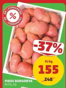 PENNY Piros burgonya ajánlat