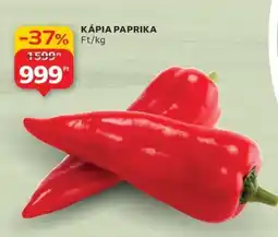 Auchan Kápia paprika ajánlat