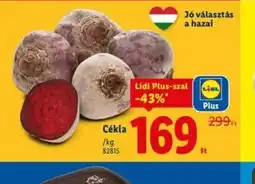 Lidl Cékla ajánlat