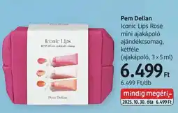 DM Pem Delian Iconic Lips Rose mini ajakápoló ajánlat