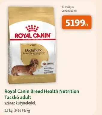 Royal Canin Breed Health Nutrition Tacskó