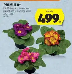 ALDI PRIMULA ajánlat