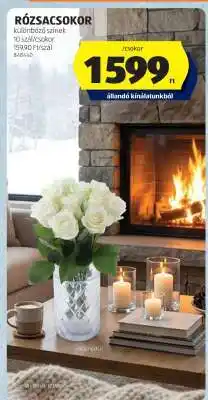 ALDI RÓZSACSOKOR ajánlat