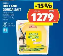 ALDI MILSANI HOLLAND GOUDA SAJT ajánlat