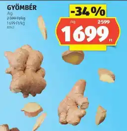 ALDI Gyömbér ajánlat