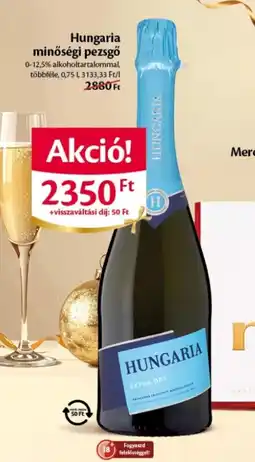 EcoFamily Hungaria minőségi pezsgő ajánlat