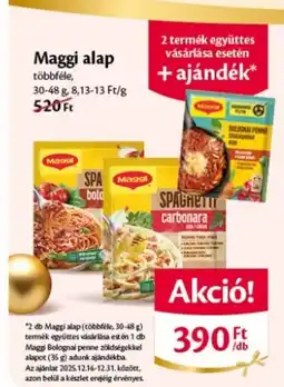 EcoFamily Maggi alap ajánlat